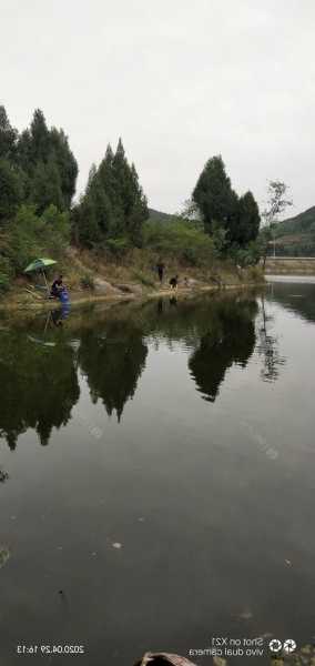 仁怀山水钓鱼怎么样，仁怀水库可以钓鱼吗-第3张图片-平阳县乌魄百货商行