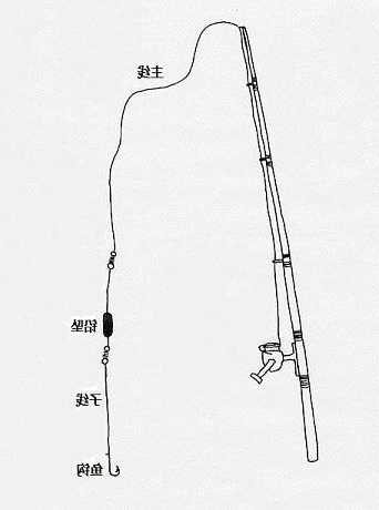 学生入门钓鱼怎么样，初次学钓鱼怎么开始学！-第3张图片-平阳县乌魄百货商行