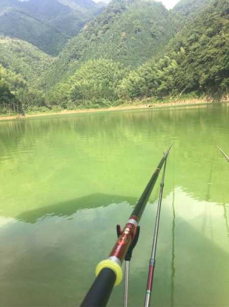 湖州溪水钓鱼怎么样，湖州溪水钓鱼怎么样好钓吗？-第2张图片-平阳县乌魄百货商行