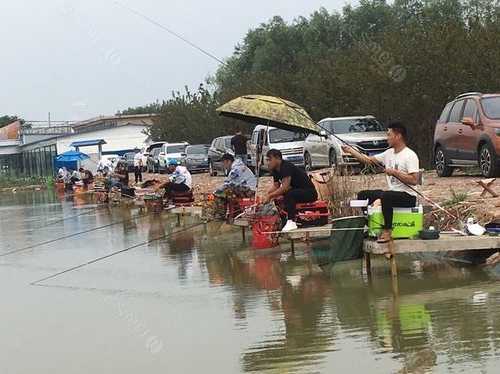 淮南钓鱼怎么样收费，淮南钓鱼野钓地点！-第3张图片-平阳县乌魄百货商行