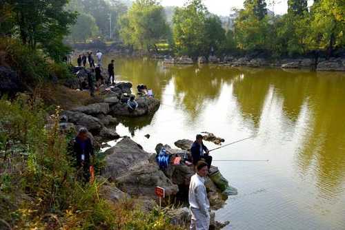 托仙湖钓鱼怎么样？托山水库钓鱼论坛？-第3张图片-平阳县乌魄百货商行