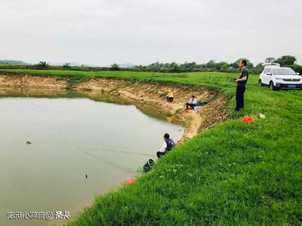 惠州大洲钓鱼怎么样？惠州大亚湾钓鱼？-第1张图片-平阳县乌魄百货商行