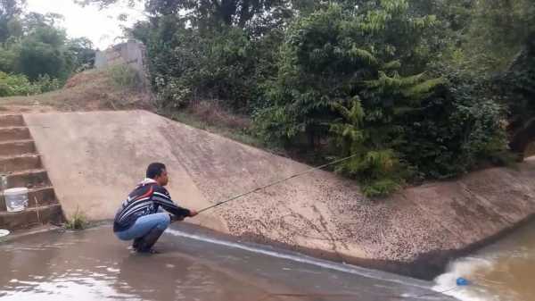 小溪闸口钓鱼怎么样，小溪流钓鱼-第3张图片-平阳县乌魄百货商行