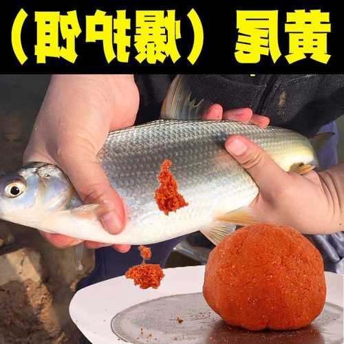 黄饵钓鱼怎么样，钓黄鲴鱼饵料！-第2张图片-平阳县乌魄百货商行