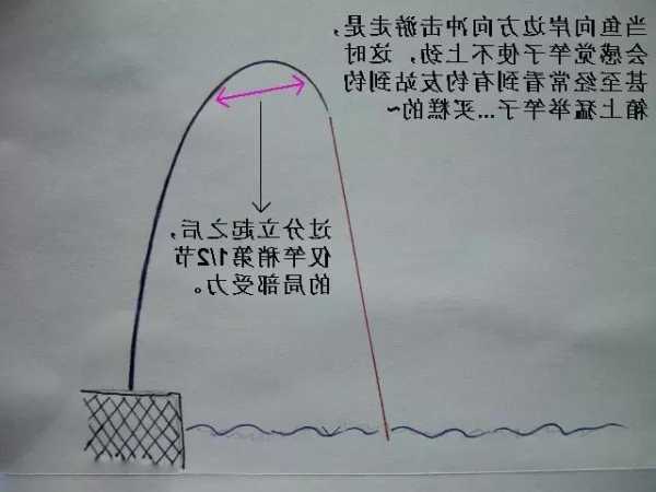 怎么样避免钓鱼拔河，避免钓鱼最有效的方法-第1张图片-平阳县乌魄百货商行