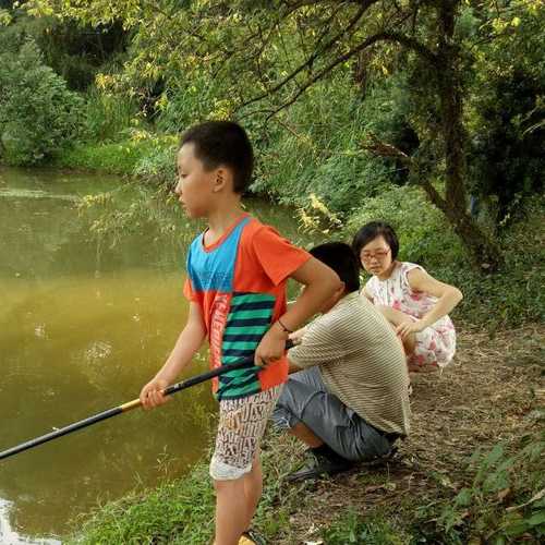 葡萄湾钓鱼怎么样，葡萄湾钓鱼怎么样好钓吗？-第3张图片-平阳县乌魄百货商行