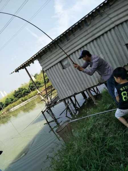 家里鱼塘钓鱼怎么样，家养鱼塘怎么才能钓到鱼-第3张图片-平阳县乌魄百货商行