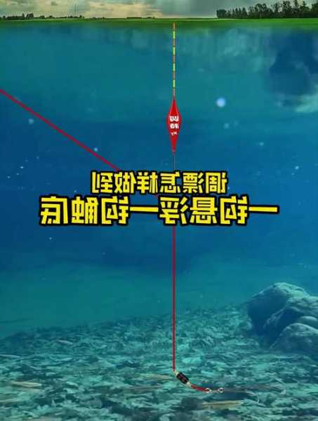 悬浮钓鱼怎么样，悬浮钓鱼是怎么一种调法-第2张图片-平阳县乌魄百货商行