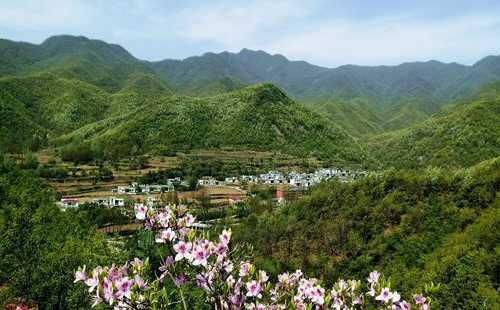 汝阳水坑钓鱼怎么样，汝阳 水库-第3张图片-平阳县乌魄百货商行