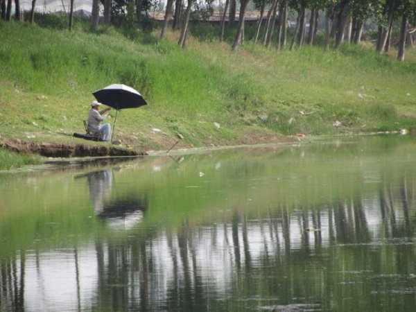 河边钓鱼天气怎么样，河边钓鱼天气怎么样啊？-第1张图片-平阳县乌魄百货商行