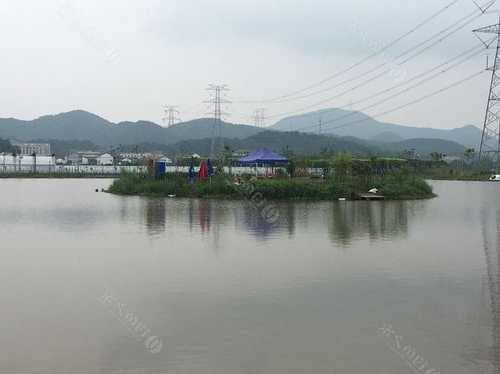 海丰钓鱼场怎么样，海丰钓鱼场怎么样呀-第2张图片-平阳县乌魄百货商行