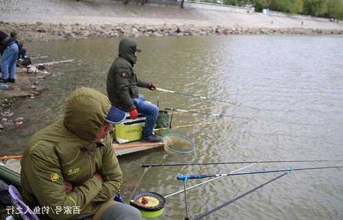 冬天西风钓鱼怎么样，冬天西风天能不能钓鱼！-第2张图片-平阳县乌魄百货商行