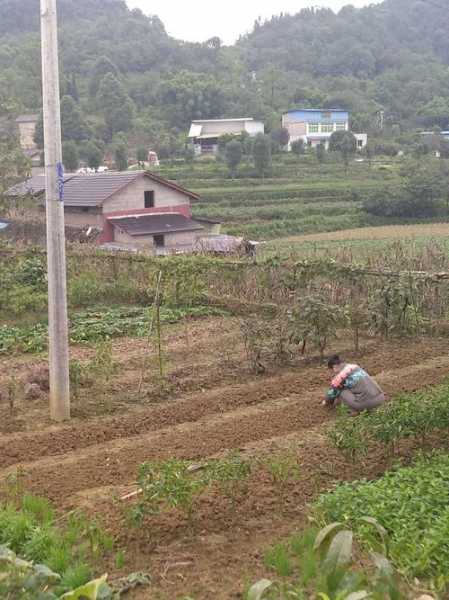 石壁村钓鱼怎么样，石壁村钓鱼怎么样好玩吗！-第2张图片-平阳县乌魄百货商行