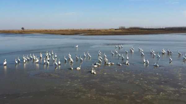 沉湖钓鱼怎么样？沉湖钓鱼联系电话？-第1张图片-平阳县乌魄百货商行