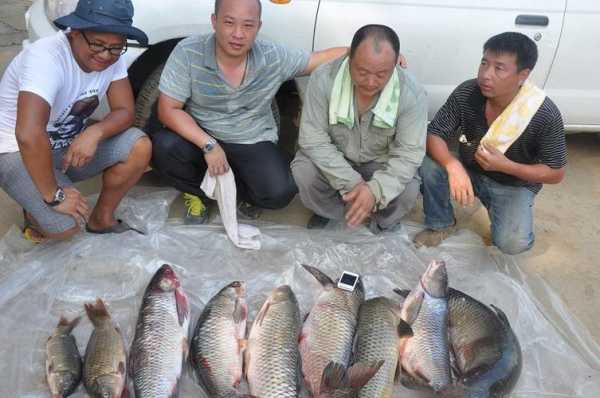 南湾上游钓鱼怎么样，南湾水库鱼哪家好吃-第1张图片-平阳县乌魄百货商行