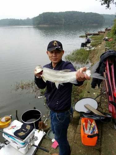 南湾上游钓鱼怎么样，南湾水库鱼哪家好吃-第3张图片-平阳县乌魄百货商行