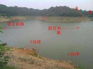 上游排水怎么样钓鱼？上游水量大还是下游水量大？-第2张图片-平阳县乌魄百货商行