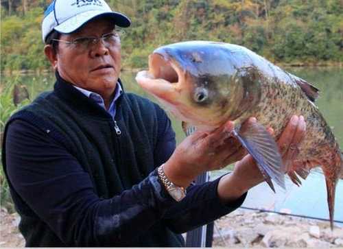 破碎钓鱼效果怎么样，破碎群岛钓鱼神器？-第3张图片-平阳县乌魄百货商行