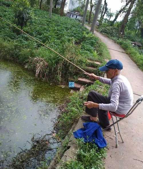 南头菜地钓鱼怎么样？南头镇钓鱼的地方在哪里？-第3张图片-平阳县乌魄百货商行