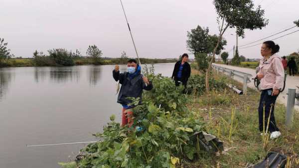 中秋热点钓鱼怎么样，中秋节钓鱼？-第3张图片-平阳县乌魄百货商行