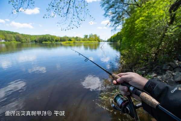 米家村钓鱼怎么样，米家村钓鱼怎么样知乎！-第3张图片-平阳县乌魄百货商行