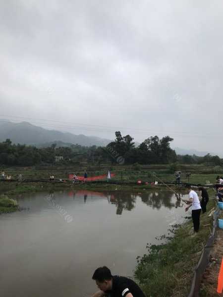 江津急流钓鱼怎么样，江津野钓的地方有哪些-第3张图片-平阳县乌魄百货商行