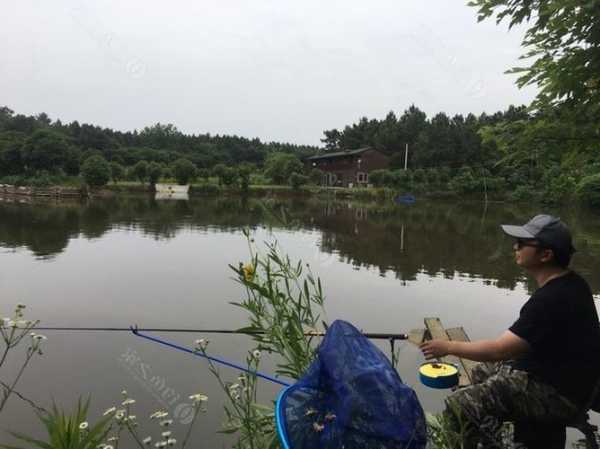 溧水河钓鱼怎么样？溧水钓鱼好去处？-第1张图片-平阳县乌魄百货商行