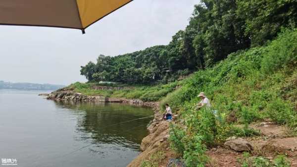 寿山湖钓鱼怎么样，寿山湖风景！-第1张图片-平阳县乌魄百货商行