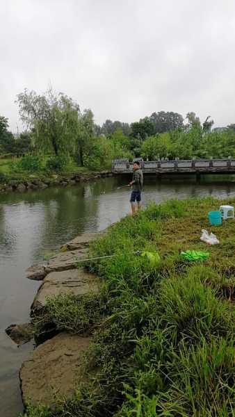 鱼道进口钓鱼怎么样？鱼道进口钓鱼怎么样好用吗？-第1张图片-平阳县乌魄百货商行