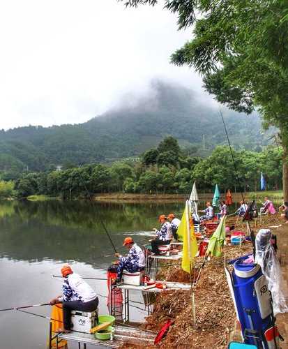 旅居钓鱼俱乐部怎么样？旅乐钓鱼村怎么样？-第1张图片-平阳县乌魄百货商行