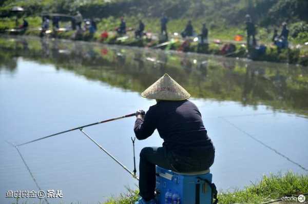 钓鱼怎么样算高手，怎么算是钓鱼？-第3张图片-平阳县乌魄百货商行