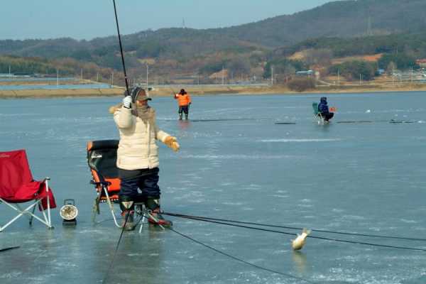 韩国湖里钓鱼怎么样，韩国钓鱼视频？-第2张图片-平阳县乌魄百货商行