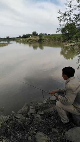 辽河发水钓鱼怎么样，辽河 钓鱼？-第3张图片-平阳县乌魄百货商行