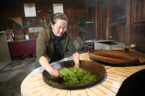 沿河茶店钓鱼怎么样，沿河古茶简介！-第1张图片-平阳县乌魄百货商行