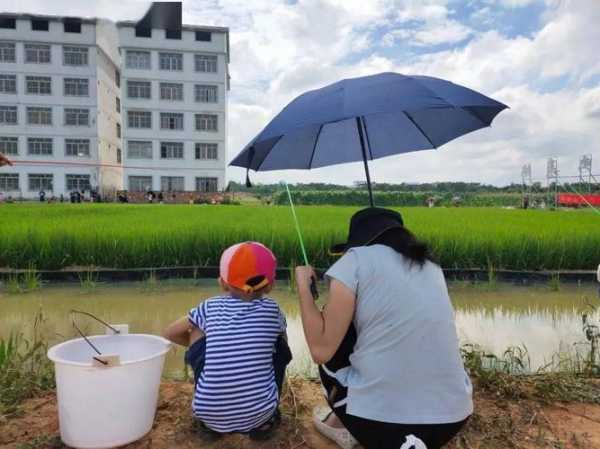 稻田农庄钓鱼怎么样，稻田农家乐！-第2张图片-平阳县乌魄百货商行