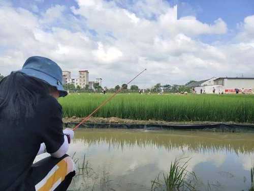 稻田农庄钓鱼怎么样，稻田农家乐！-第1张图片-平阳县乌魄百货商行