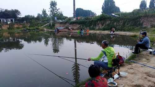 桃源钓场钓鱼怎么样？桃源钓场钓鱼怎么样呀？-第3张图片-平阳县乌魄百货商行