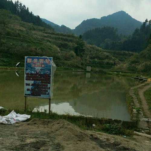 砚山钓鱼山庄怎么样，砚山野钓！-第2张图片-平阳县乌魄百货商行