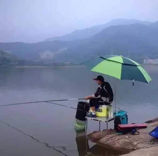 雨后早上钓鱼怎么样，雨后早上钓鱼怎么样好钓吗？-第1张图片-平阳县乌魄百货商行