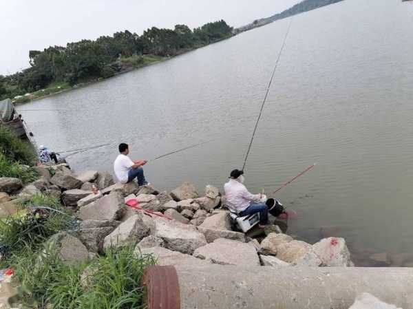 雨后早上钓鱼怎么样，雨后早上钓鱼怎么样好钓吗？-第2张图片-平阳县乌魄百货商行