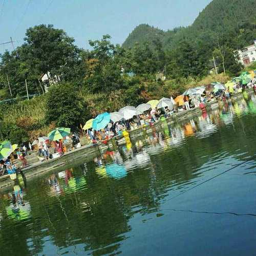 花垣河里钓鱼怎么样，花垣河里钓鱼怎么样好钓吗！-第1张图片-平阳县乌魄百货商行