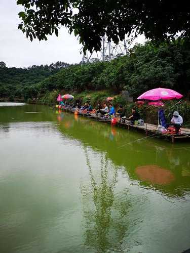 有成钓鱼场怎么样？锦绣钓鱼场怎么样？-第3张图片-平阳县乌魄百货商行