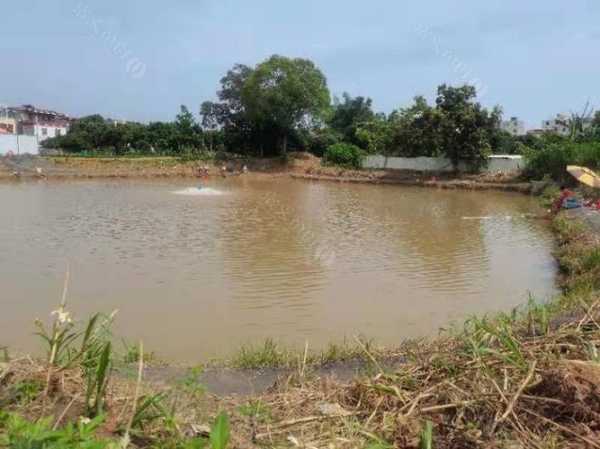 河源大雨钓鱼怎么样，河源钓点？-第2张图片-平阳县乌魄百货商行