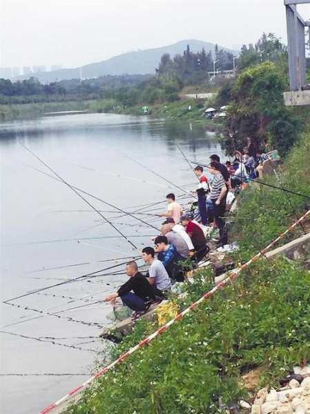 福田河钓鱼怎么样，福田河钓鱼有人赶吗？-第1张图片-平阳县乌魄百货商行