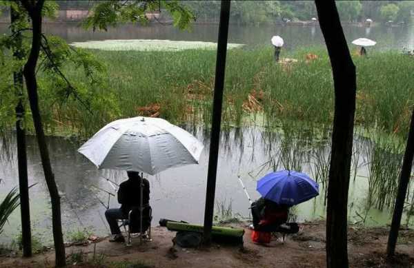 闷热下雨钓鱼怎么样？闷热天下雨后好钓鱼吗?？-第2张图片-平阳县乌魄百货商行