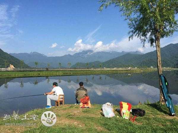 生态农庄钓鱼怎么样？生态农庄钓鱼怎么样好钓吗？-第2张图片-平阳县乌魄百货商行