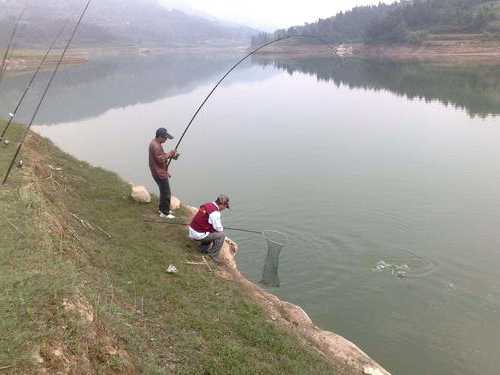 在水库怎么样钓鱼？在水库怎么样钓鱼视频？-第3张图片-平阳县乌魄百货商行