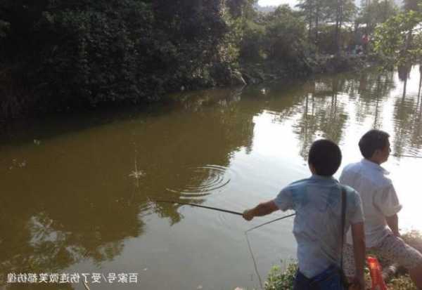 小野塘钓鱼怎么样，野塘钓鱼技巧-第2张图片-平阳县乌魄百货商行