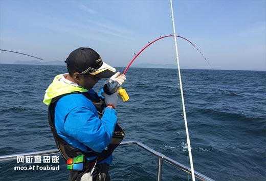 海岛怎么样钓鱼视频，海岛怎么样钓鱼视频讲解？-第2张图片-平阳县乌魄百货商行