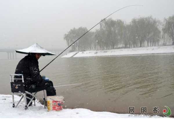 南方小雪钓鱼怎么样？南方小雪钓鱼怎么样钓？-第3张图片-平阳县乌魄百货商行